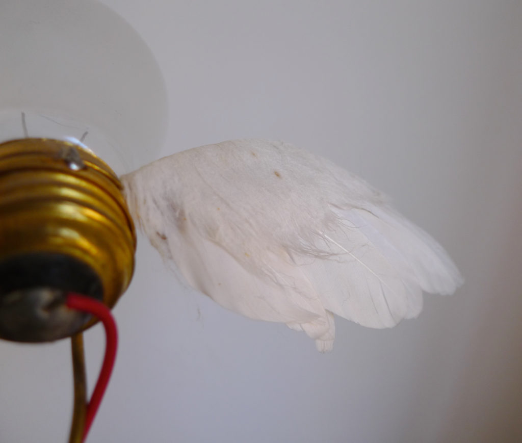 Iconic Ingo Maurer “Lucellino” Table Lamp by Ingo Maurer GmbH (Design M), 1992